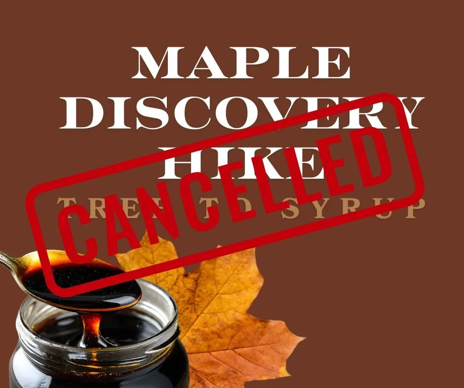 Maple Discovery Hike: Tree to Syrup