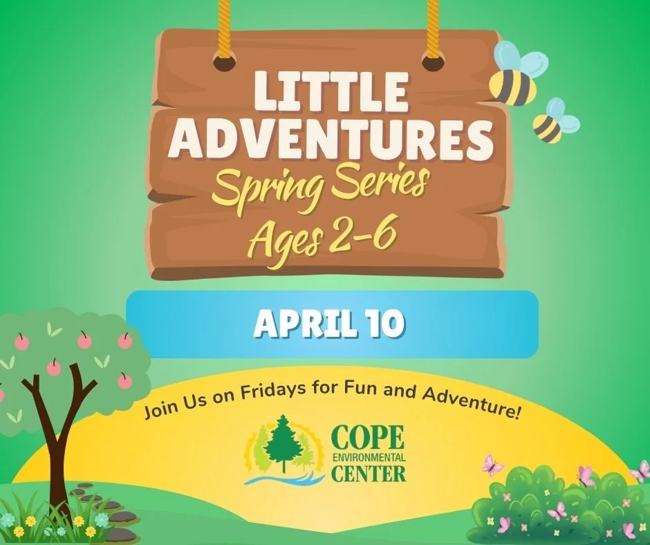 Little Adventures Spring Series