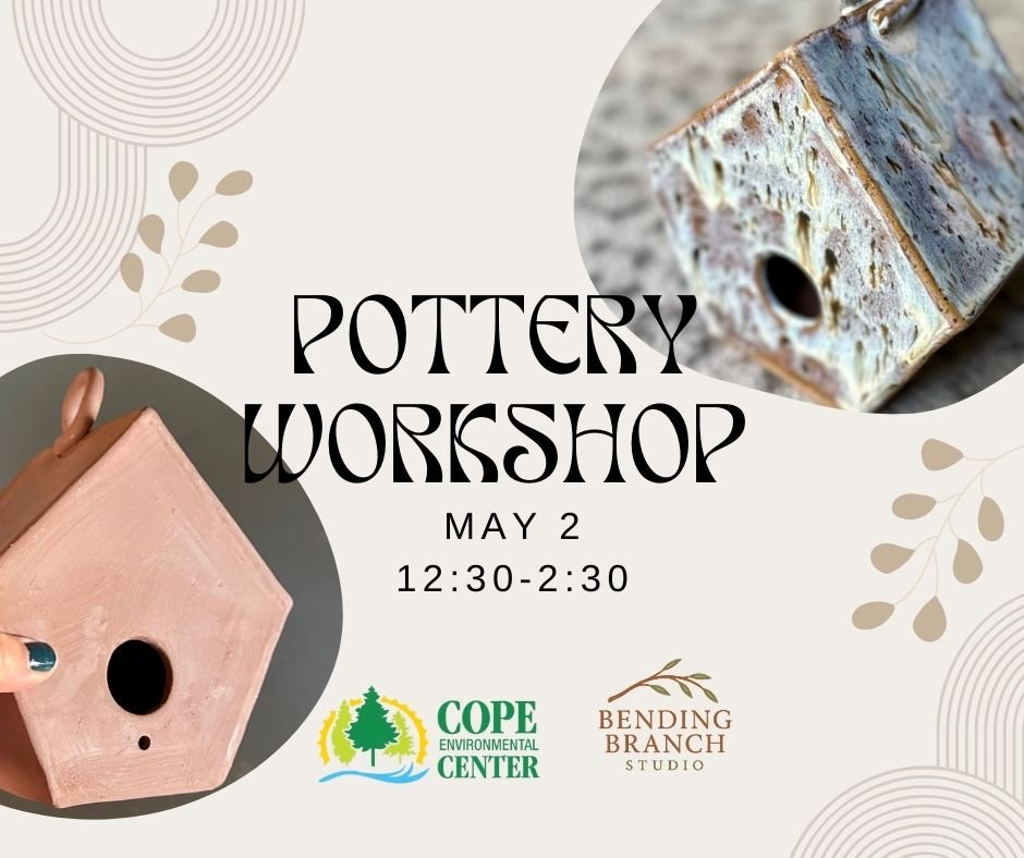 Pottery Workshop