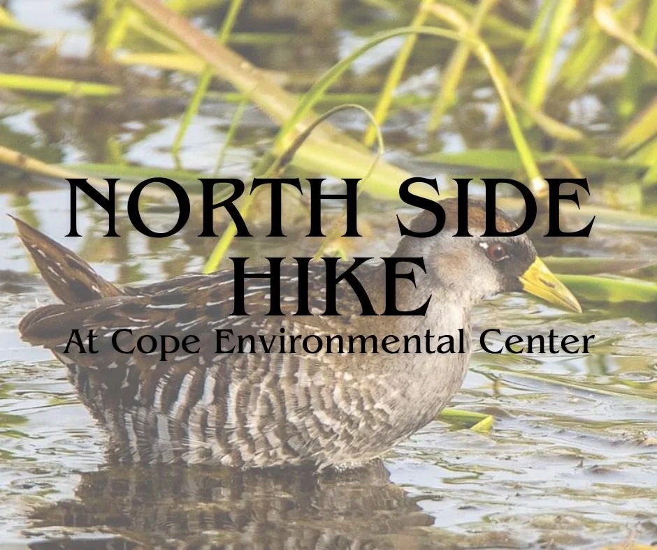 North Side Hike at Cope Environmental Center