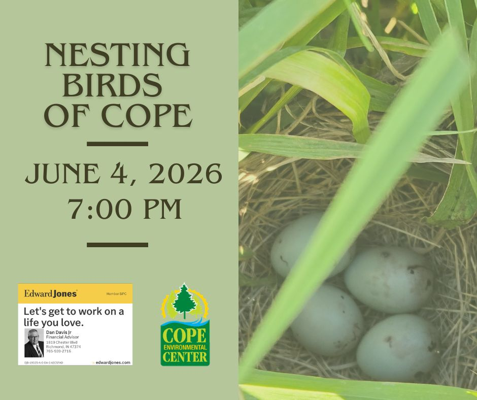 Nesting Birds of Cope