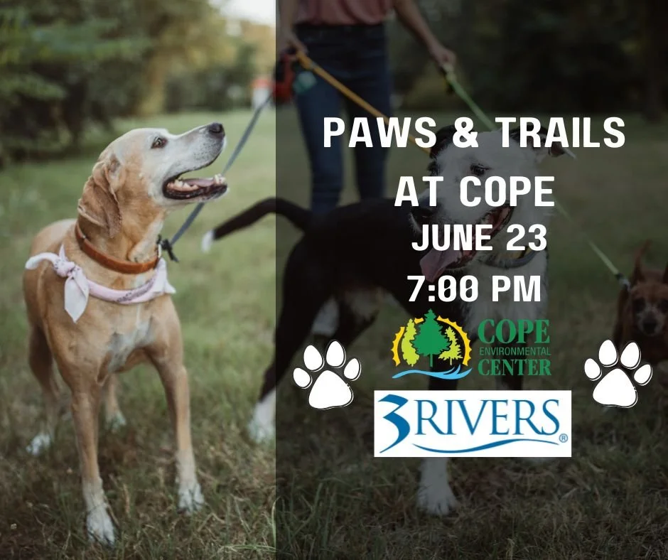 Paws & Trails