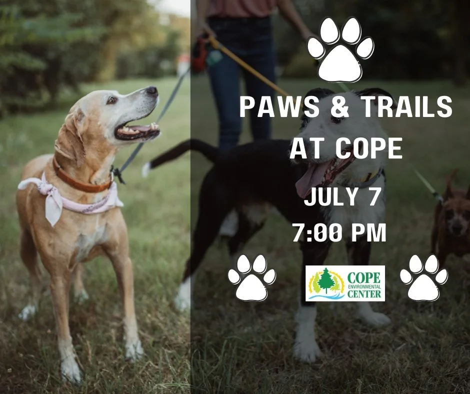 Paws & Trails