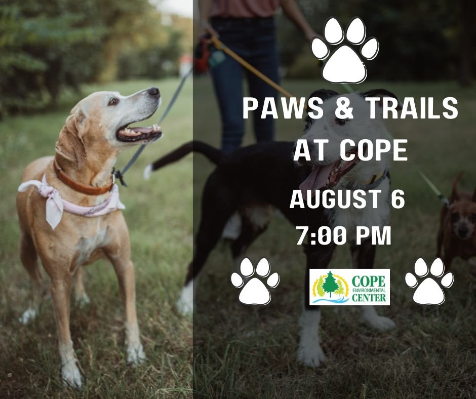 Paws & Trails