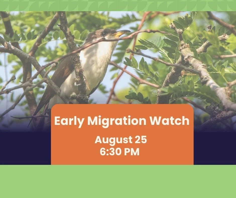 Early Migration Watch