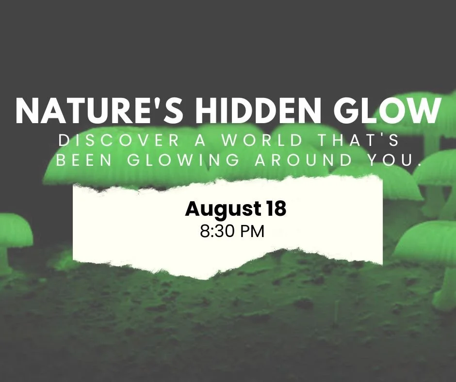 Nature’s Hidden Glow