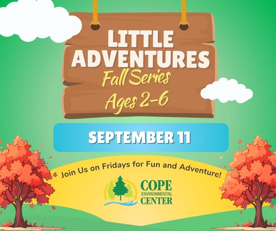 Little Adventures Fall Series