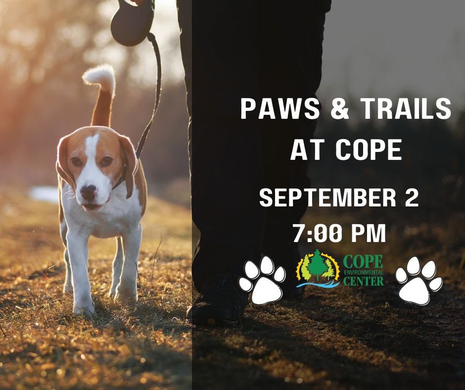 Paws & Trails