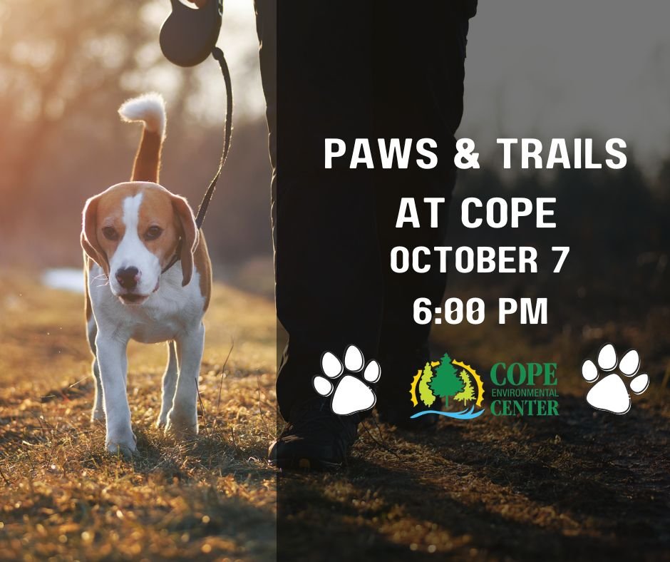 Paws & Trails