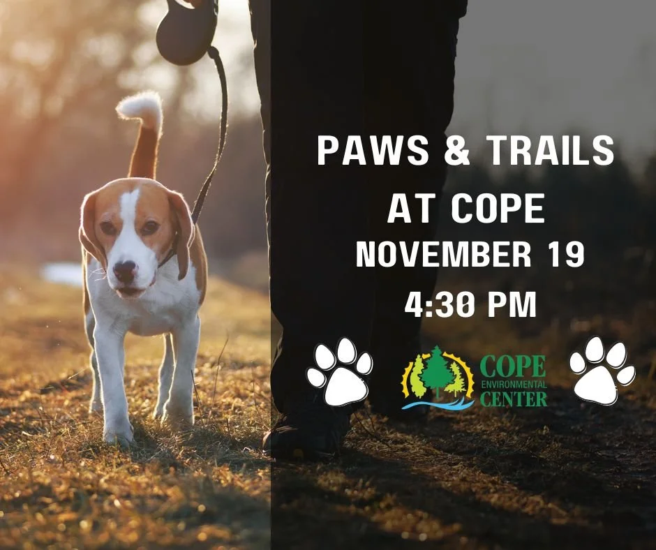 Paws & Trails
