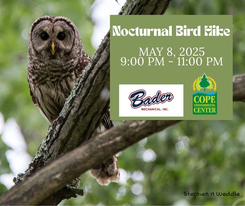 Nocturnal Bird Hike