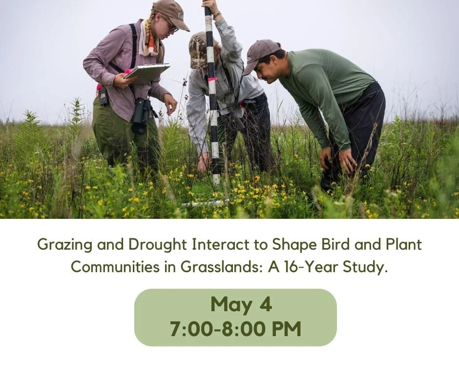 Grazing and Drought Interact to Shape Bird and Plant Communities in Grasslands A 16-Year Study..jpg
