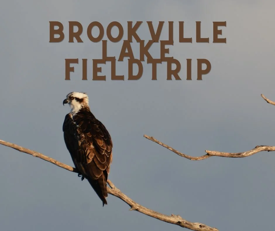 Brookville Lake FieldTrip.jpg