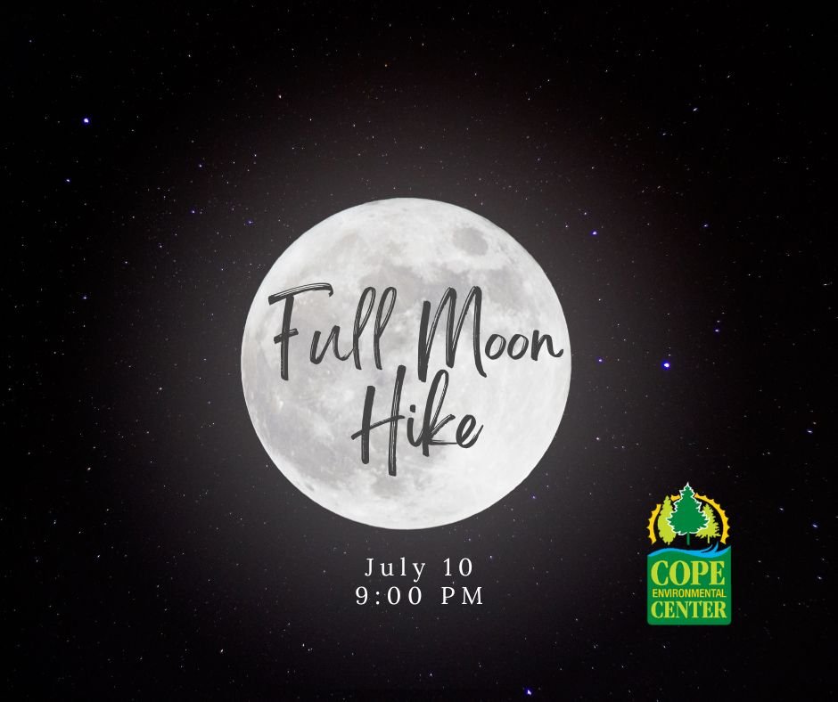 Full Moon Hike: Buck Moon