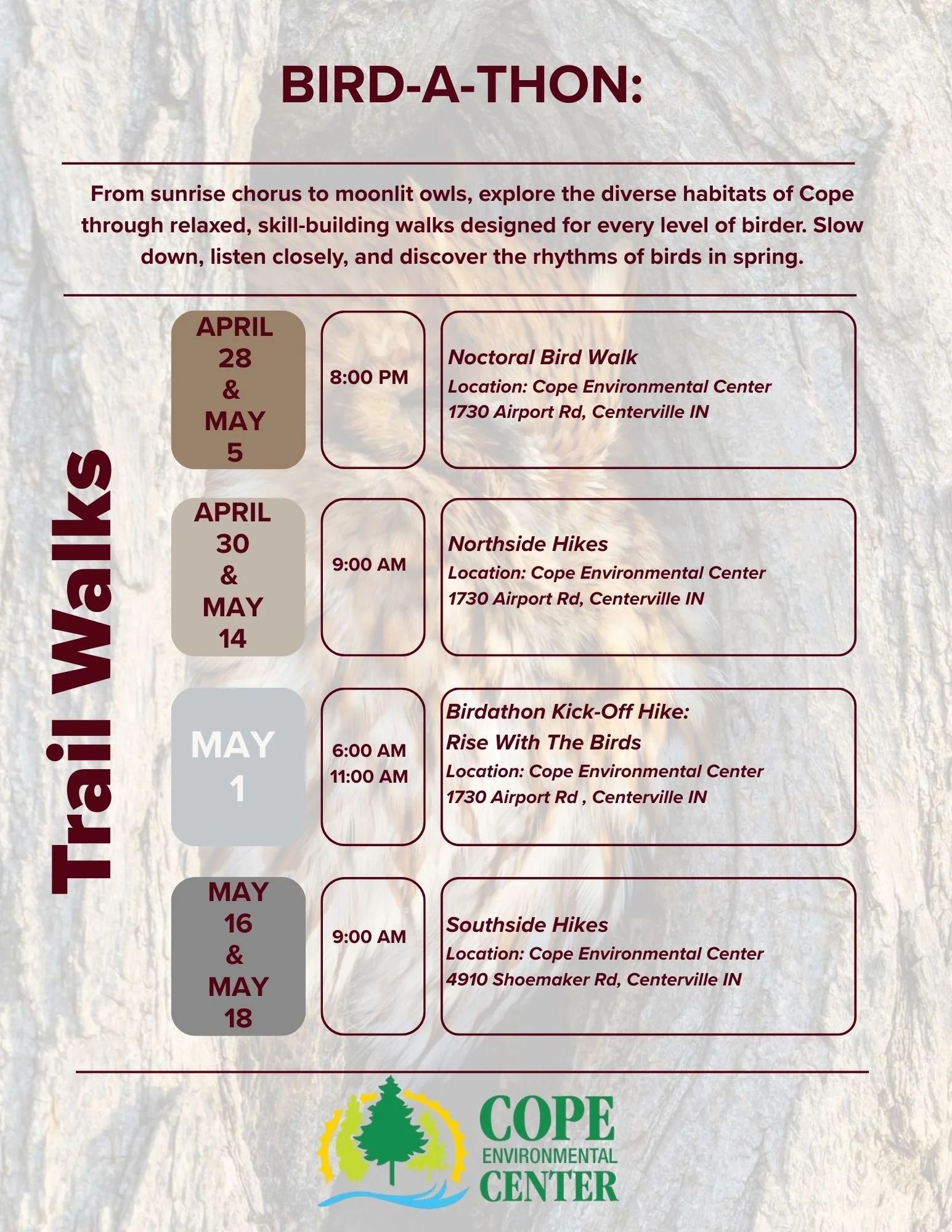 Trail Walks 2.jpg