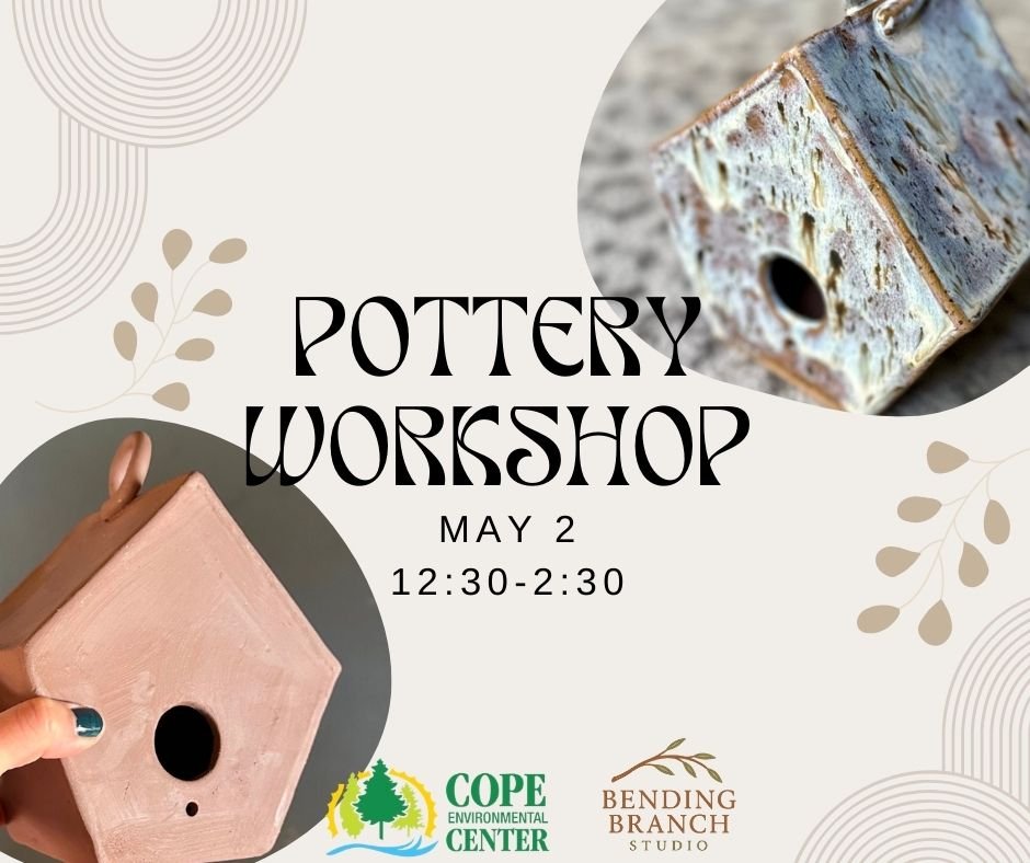 Pottery Workshop