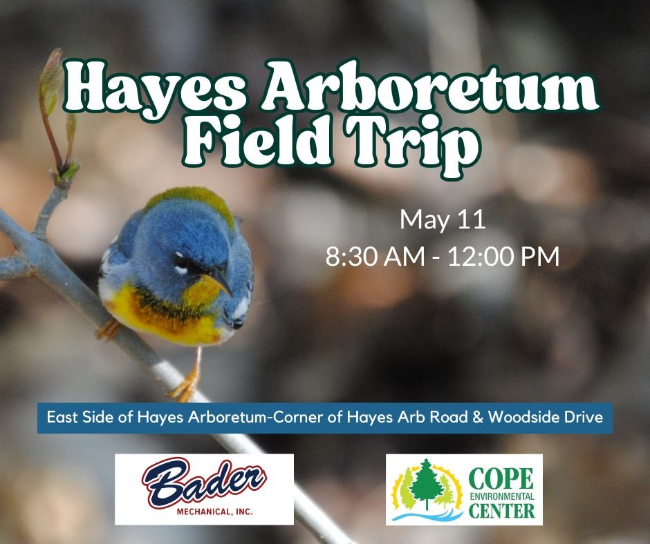 Hayes Arboretum Field Trip