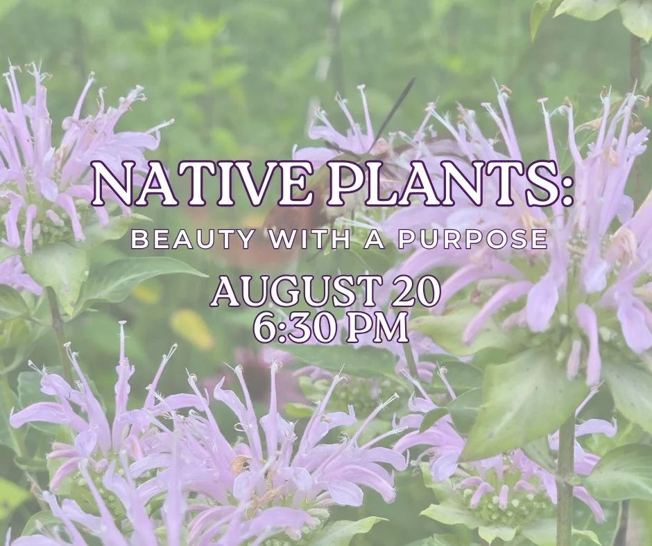 Native Plants: Beauty with a Purpose