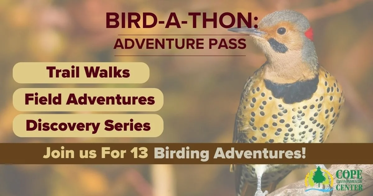 Birdathon Adventure Pass.jpg