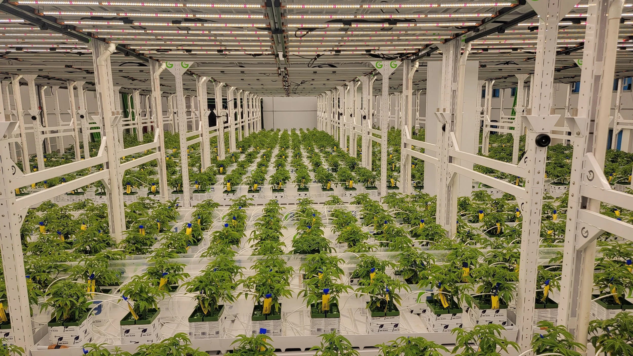 The Post-Occupancy Evaluation Wasn't Built for Plants