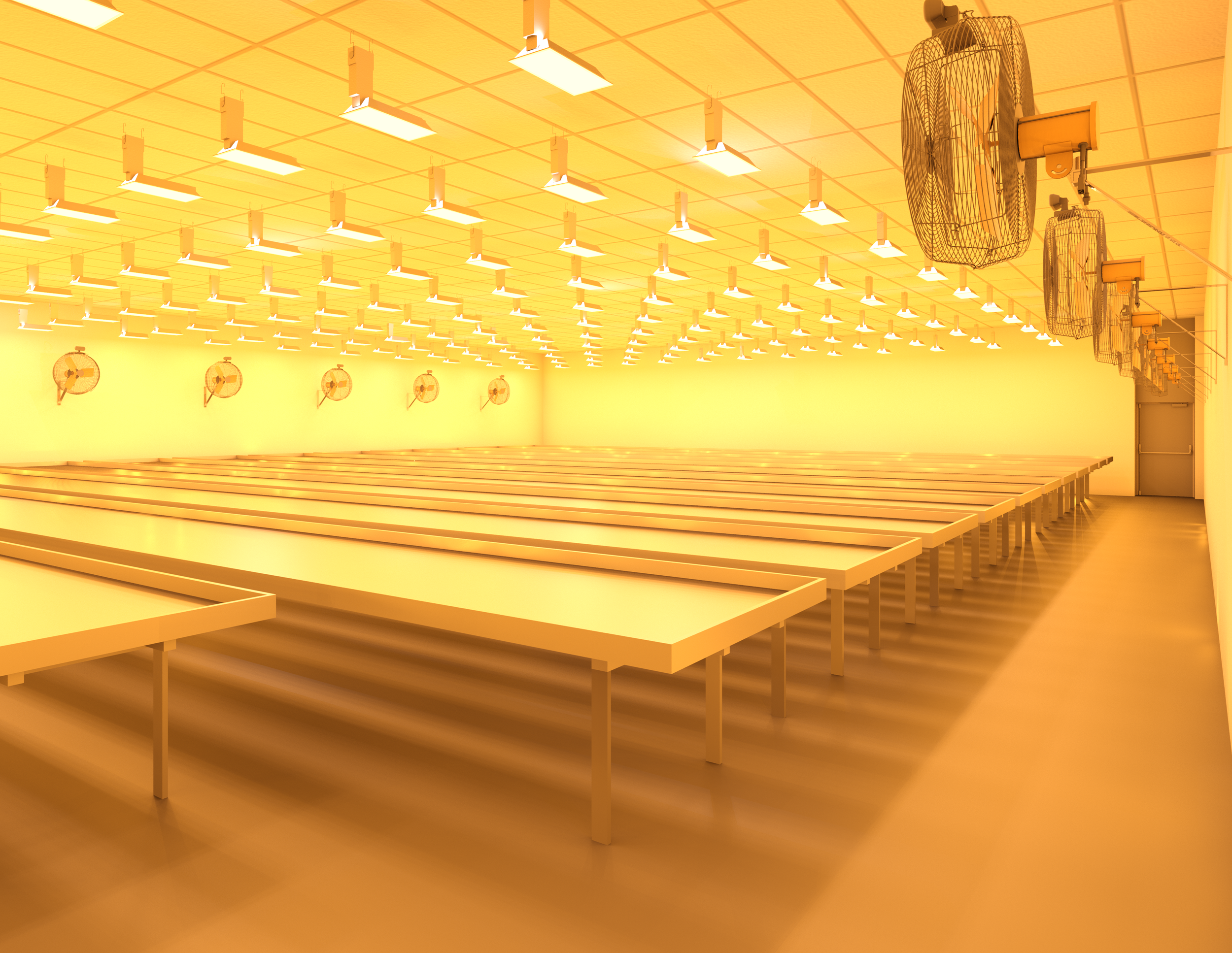 Flower Room 2.png