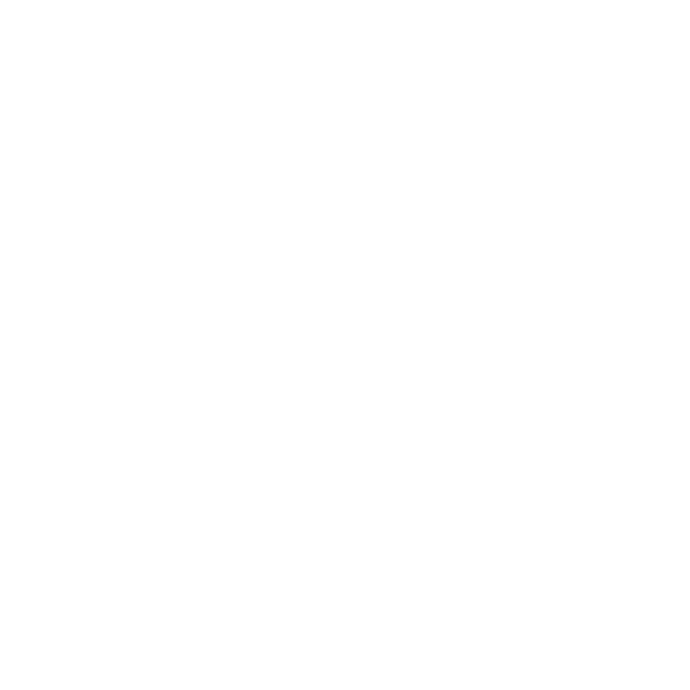A circular logo with a background of mountains, trees, and a lake. The logo has a dock in the foreground, and text reading 'Camp Lake James', 'Est. 2008', and 'Lake Life at Its Best'.