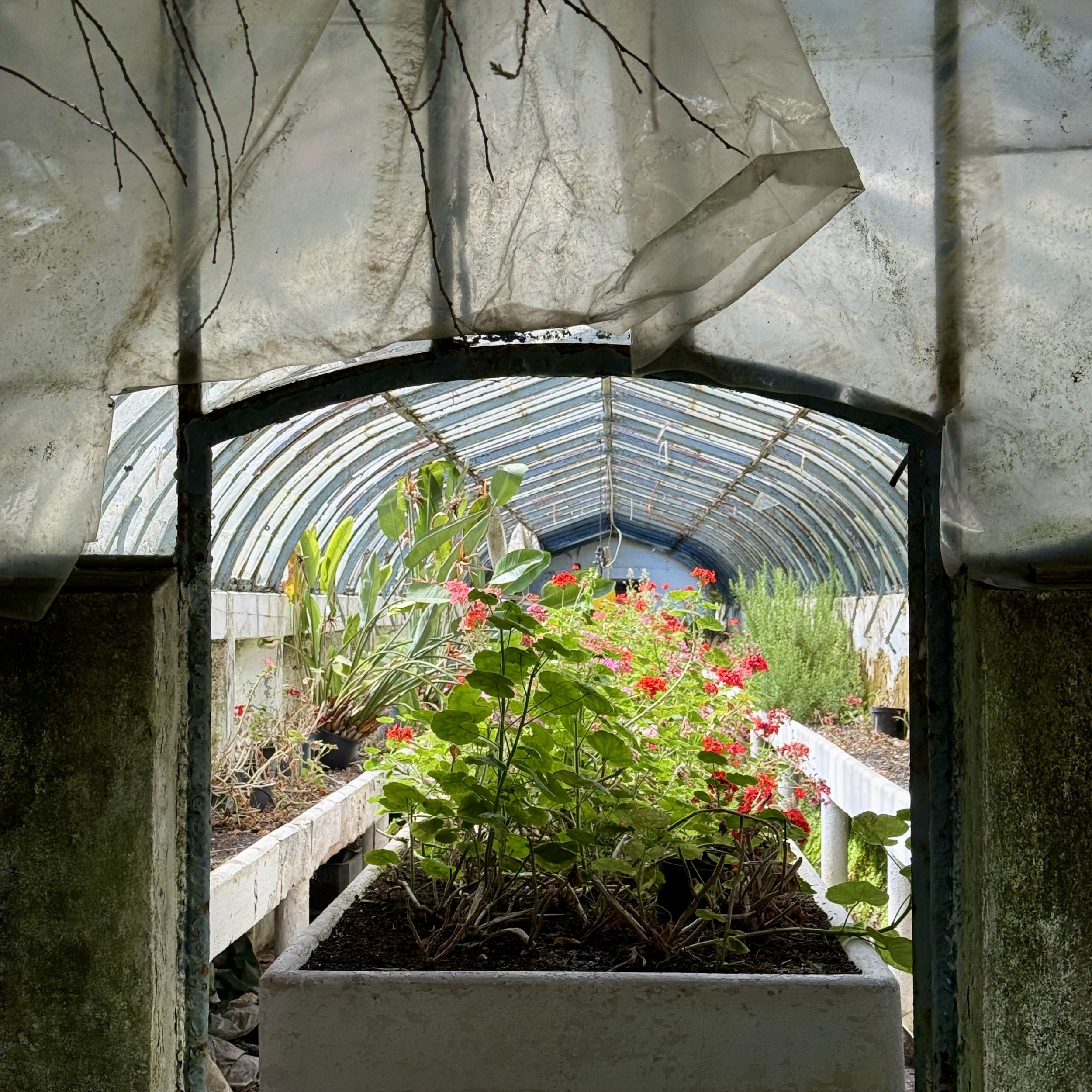 inside