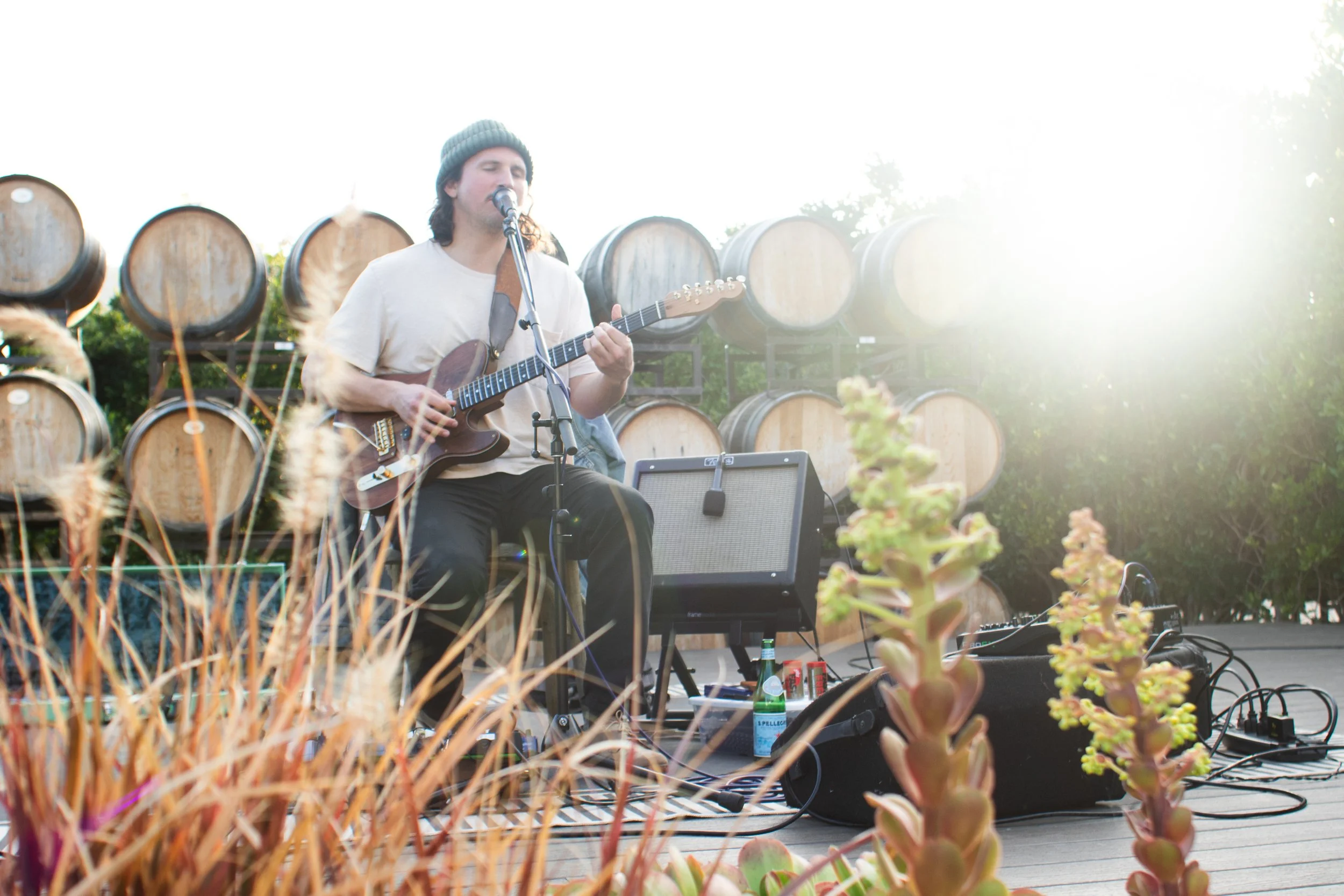 Musician playing an acoustic guitar and singing into a microphone outdoors, with barrels stacked in the background and some plants in the foreground.