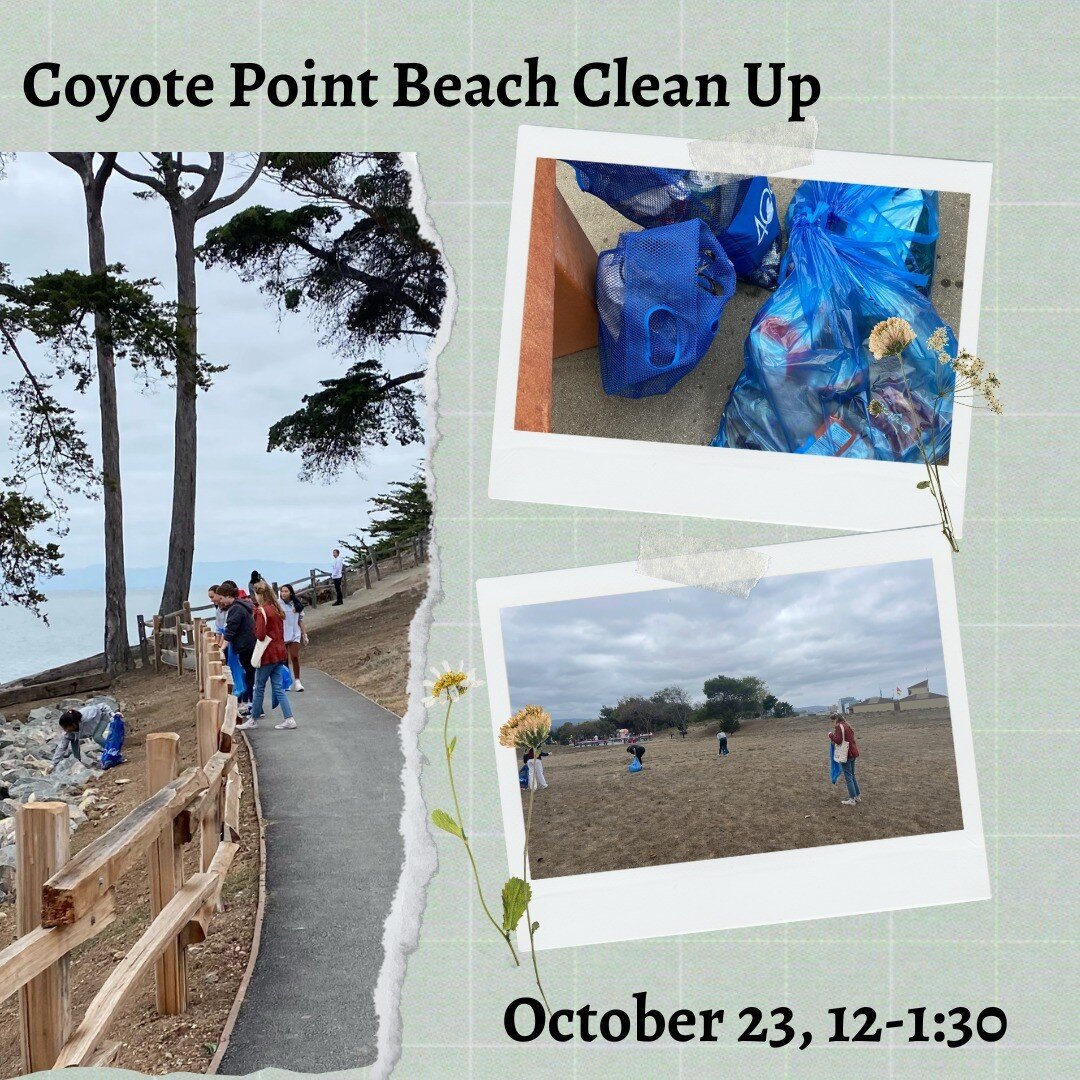 Save the date! This Sunday, October 23, we are hosting another beach clean up at Coyote Point from 12:00-1:30. Please consider helping us keep our oceans clean by joining in on the fun. And as per usual, there will donuts. Everyone and anyone is welc
