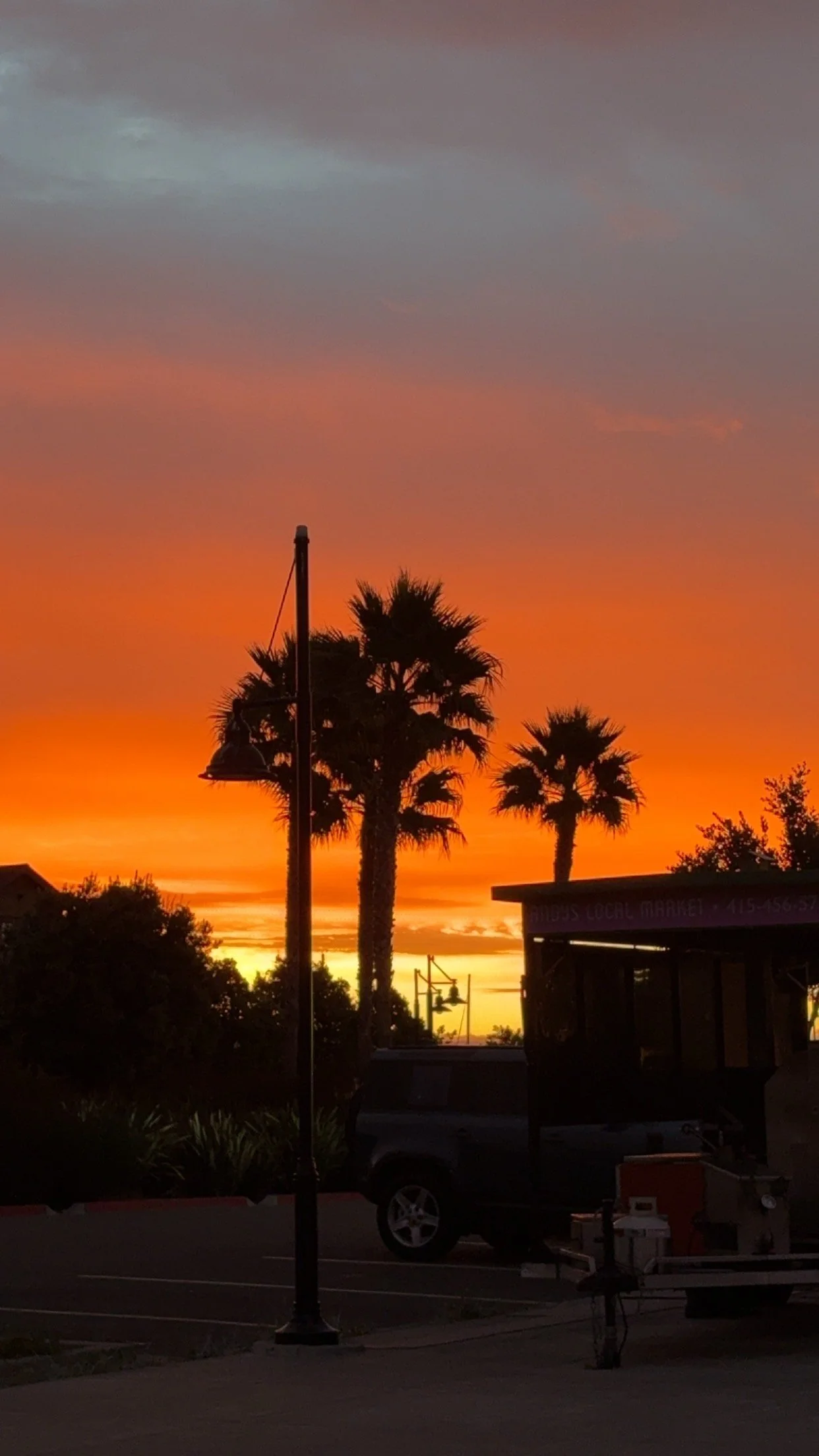 IMG Ariana Sunset.jpeg