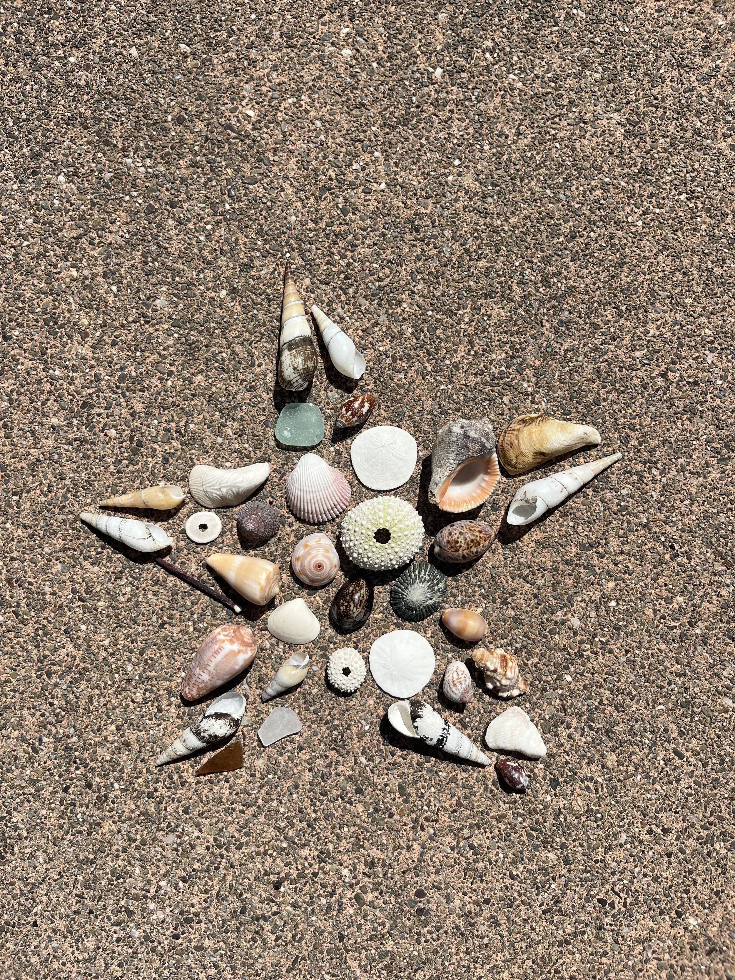 IMG Chloe Branson.jpeg