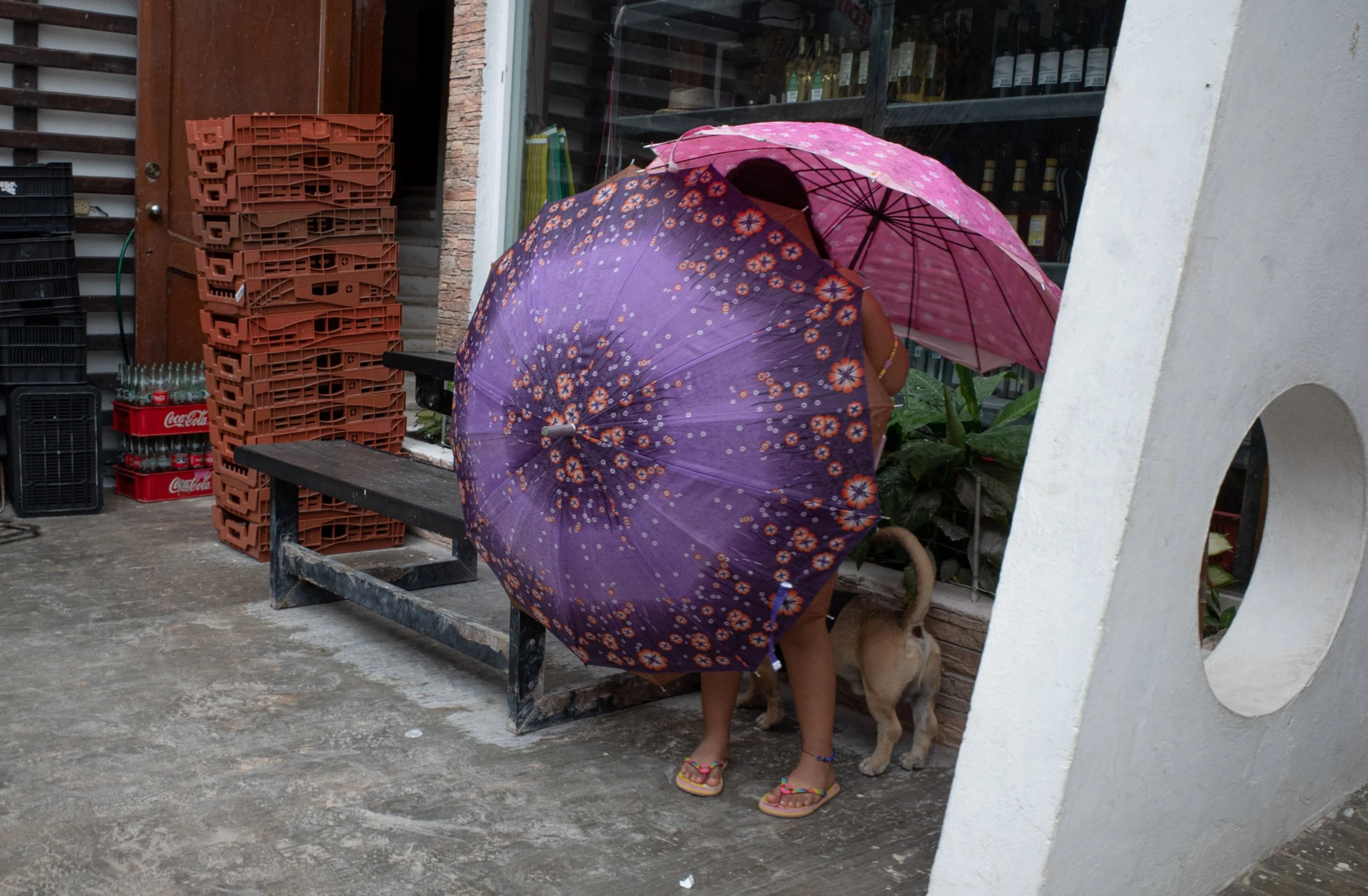 Radka_Dolinska_Holbox Seagulls '22  low-46.jpg