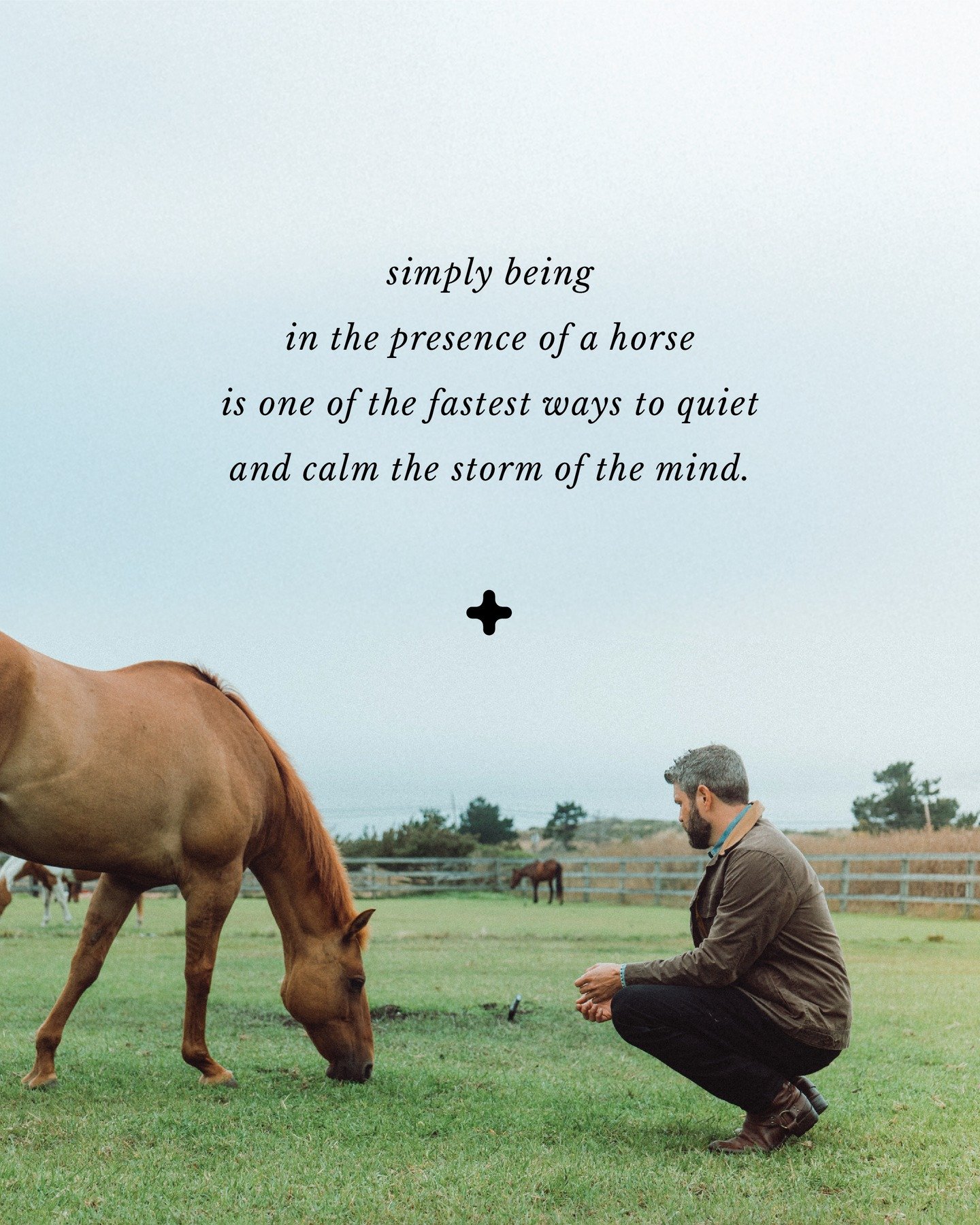 We are an overthinking species, which is both a miracle and sometimes a curse. But a horse can help us slow our scattered thoughts and calm the mind. They can help us return to an awareness of our innate resting state of peace, both in mind and body.