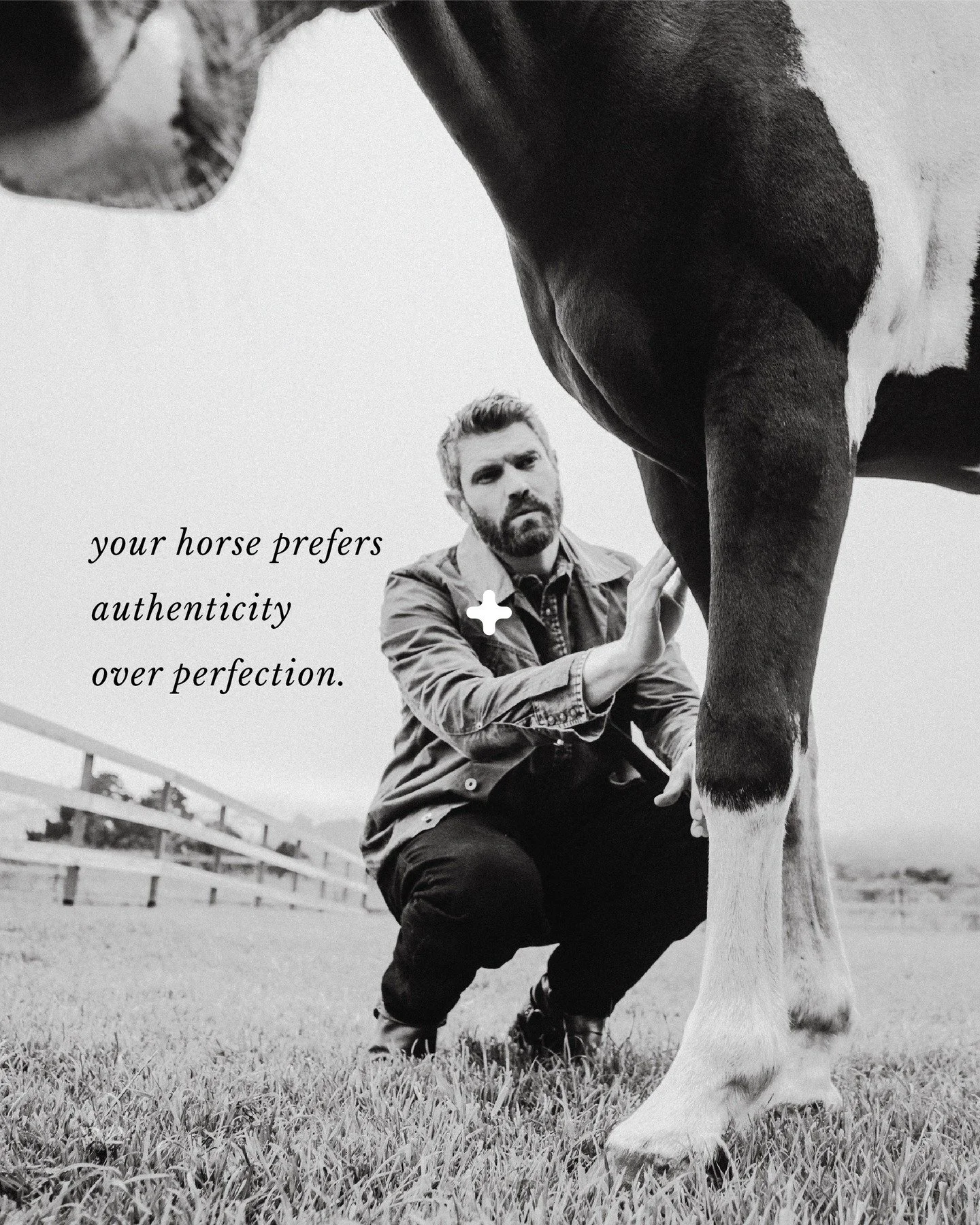 Horses are not seeking flawless technique or perfect companions. They thrive with authenticity. They respond to honesty, vulnerability, and genuine connection far more than technical perfection. How authentic are your interactions? Do you reflect hon