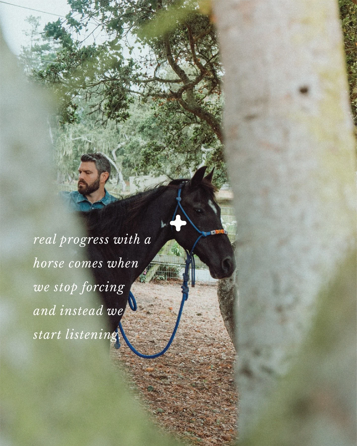 Listening to the body in particular. It's safe to assume that most horses are experiencing discomfort in a way that doesn't allow them to be at ease. It affects them in ways that they fear outwardly showing and also struggle to freely move their body