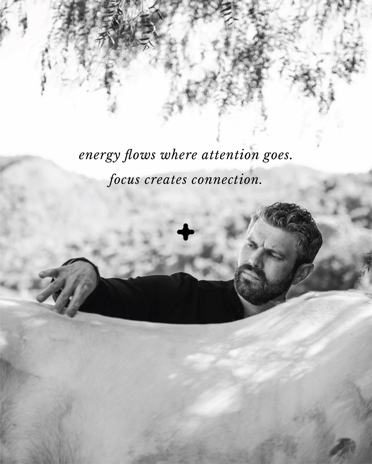 Your horse feels the direction of your focus. When you bring intentional attention to your touch and movements, you guide energy toward restoration and balance. This isn&rsquo;t just about technique&mdash;it&rsquo;s about channeling your presence int