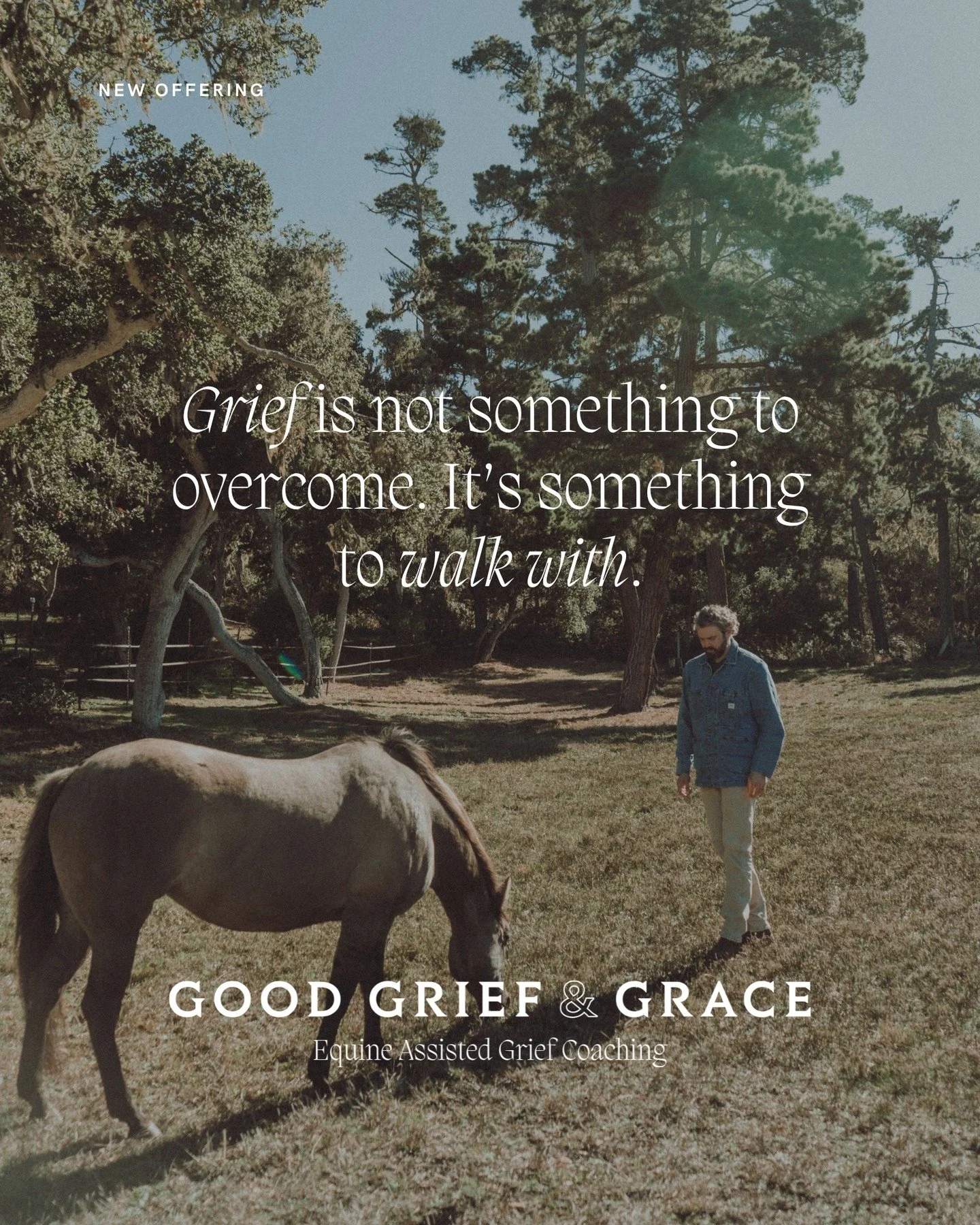 Over the past year, I&rsquo;ve deepened my work with horses by completing a certification in grief coaching. This new chapter brings together everything I&rsquo;ve learned standing beside horses. How presence restores, how stillness tells the truth, 