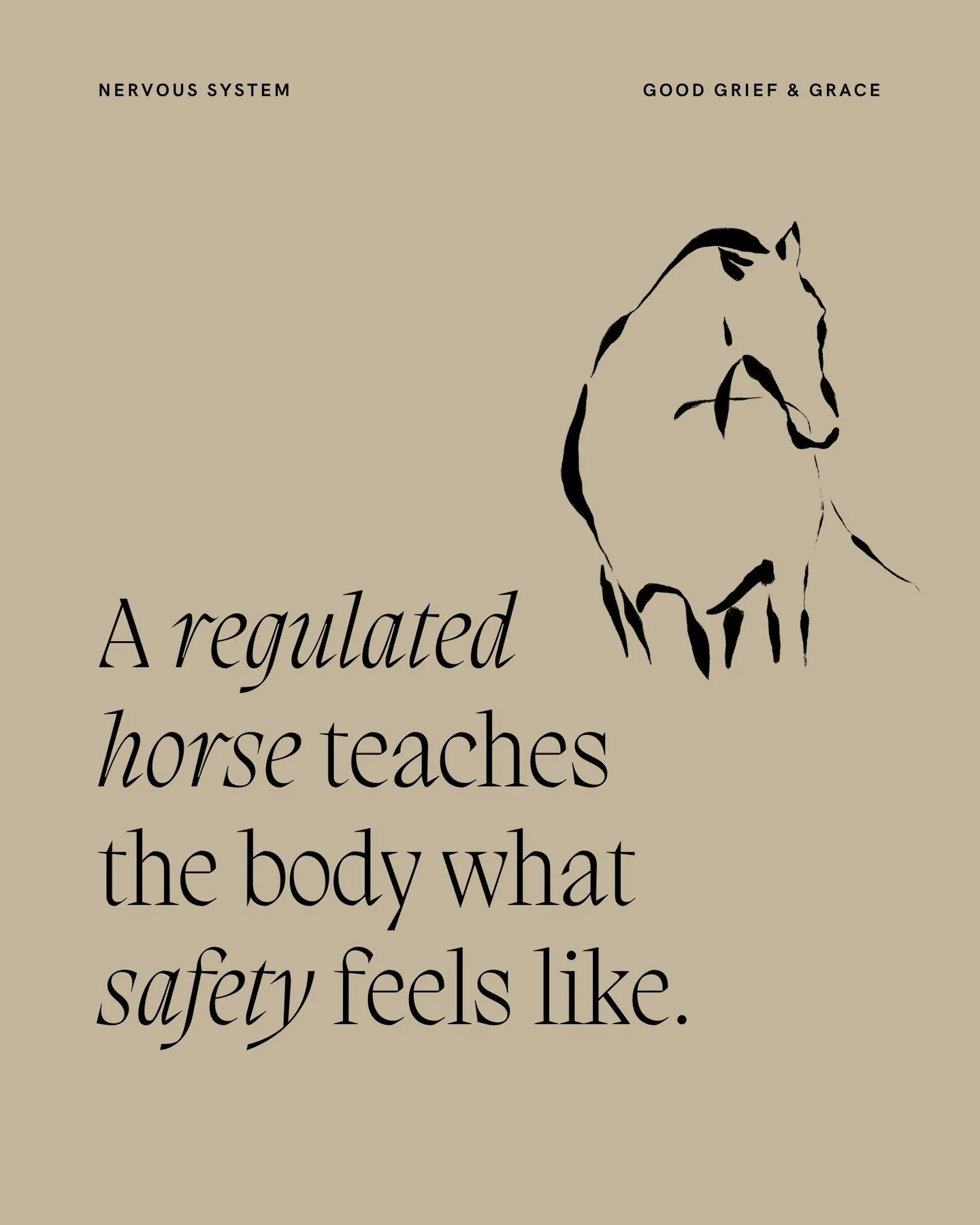 You cannot think your way out of overwhelm. The nervous system must experience calm to remember how to return to it. A horse does not talk you down. It co-regulates with you by existing without panic. This is how the body learns to soften again.

Hor