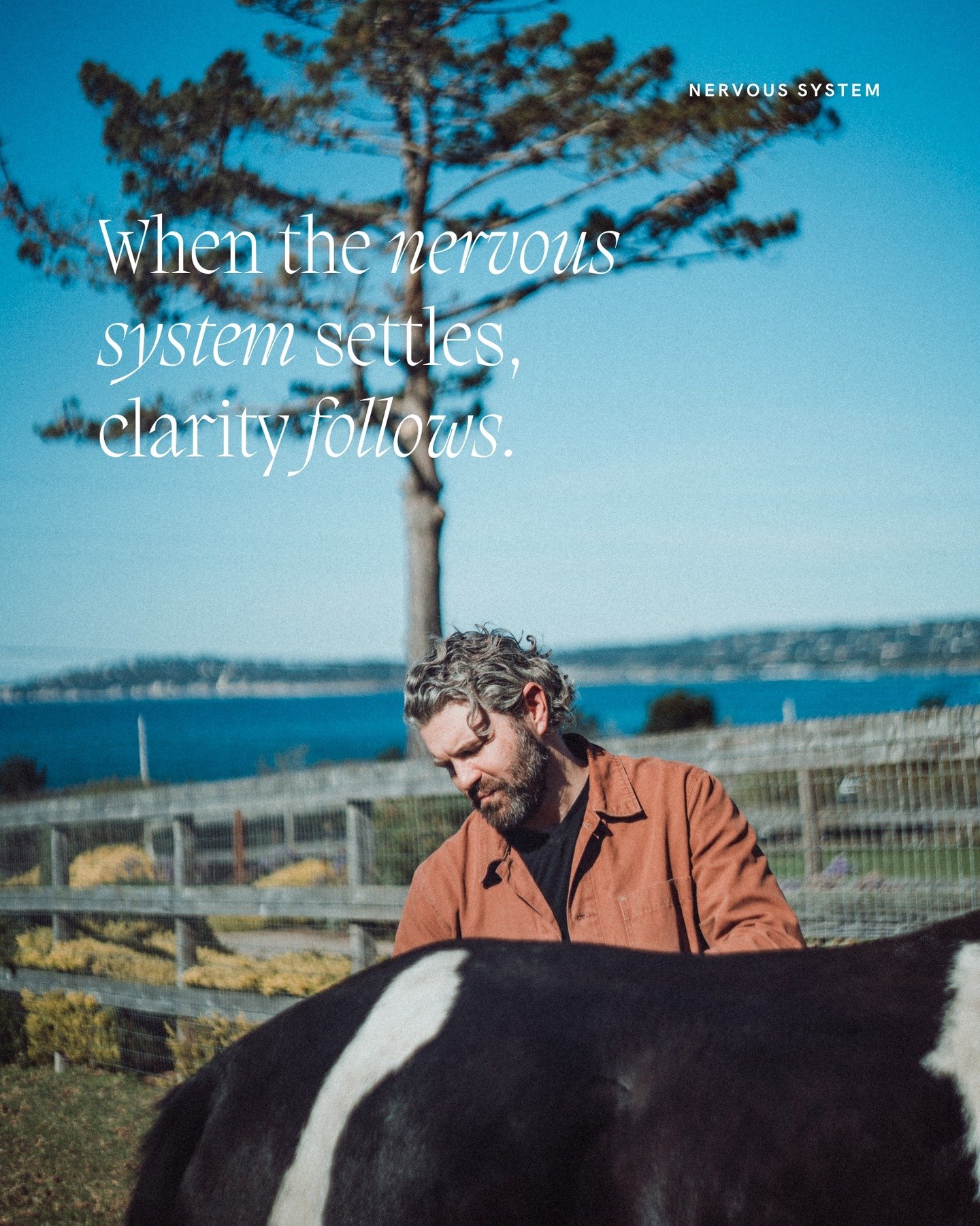 STILLNESS
A horse does not push against time. It does not brace for the next moment or replay the last one. Its life unfolds in steady breaths, each one grounded in the present. When you slow down enough to match that rhythm, the noise inside you cha