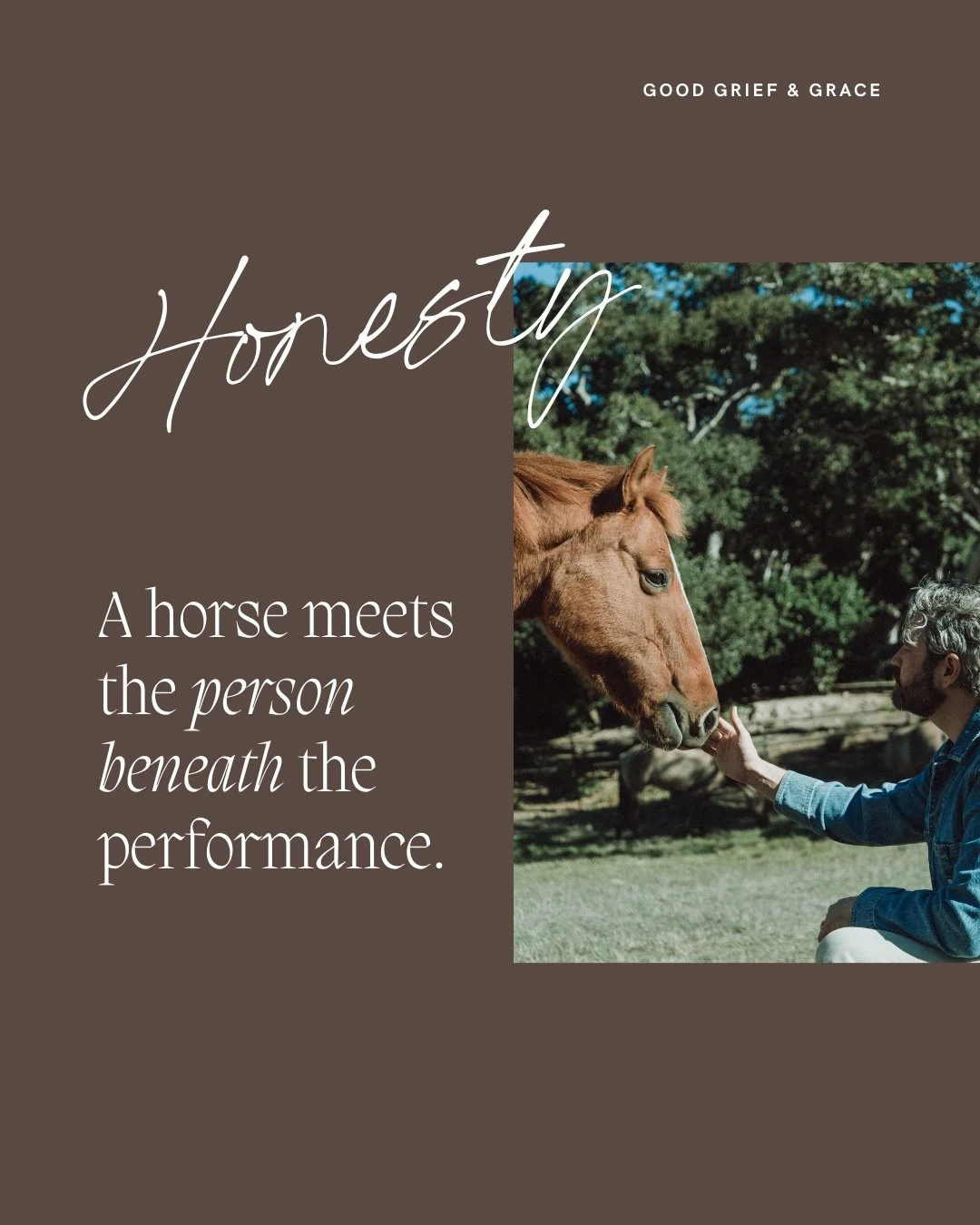 A horse does not respond to the version of you that tries to appear strong or composed. It responds to the truth beneath all of that. The breath you hold. The tension in your spine. The parts of you that speak without using your voice.

There is some