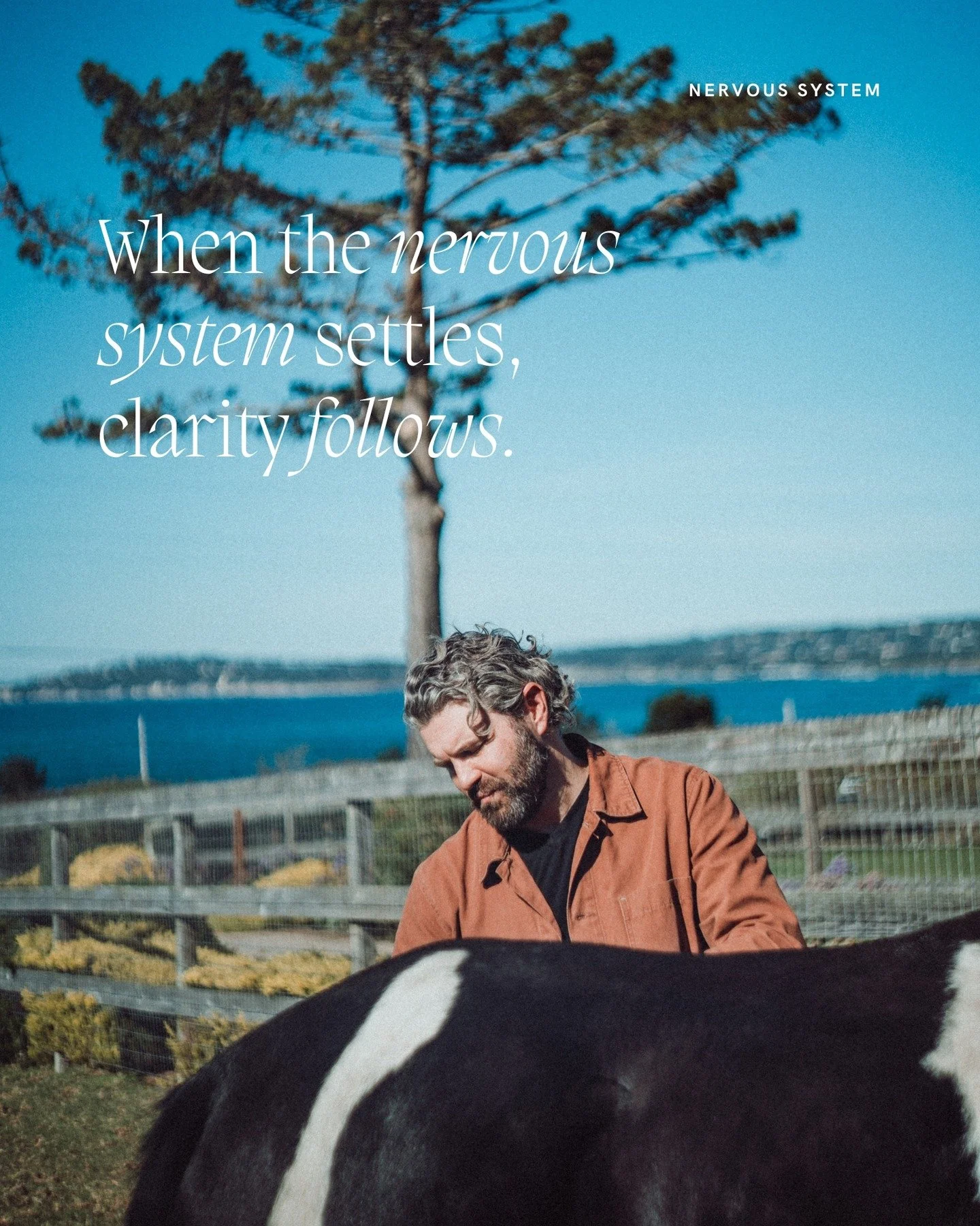 STILLNESS
A horse does not push against time. It does not brace for the next moment or replay the last one. Its life unfolds in steady breaths, each one grounded in the present. When you slow down enough to match that rhythm, the noise inside you cha