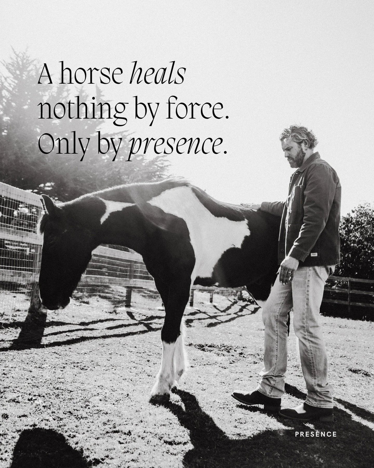 A horse doesn&rsquo;t hurry the moment. It meets and faces what is here. No words, no promises. Just the steady truth of another breathing beside you. Sometimes the hardest work isn&rsquo;t mending what broke, but allowing yourself to stand where you