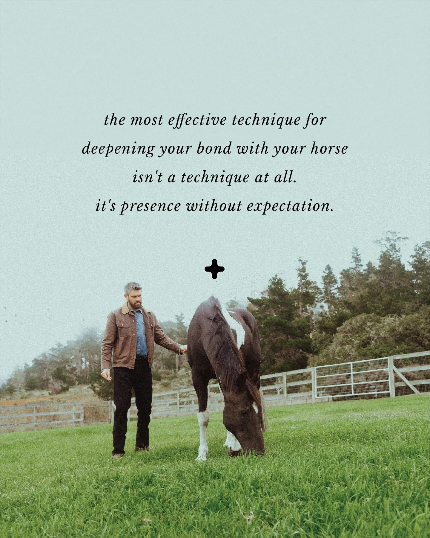 I'll say it again. The most effective technique for deepening your bond with your horse isn't a technique at all. It's pure, genuine presence. Being actively still in their space, without expectations or demands, allows your horse to feel truly seen 