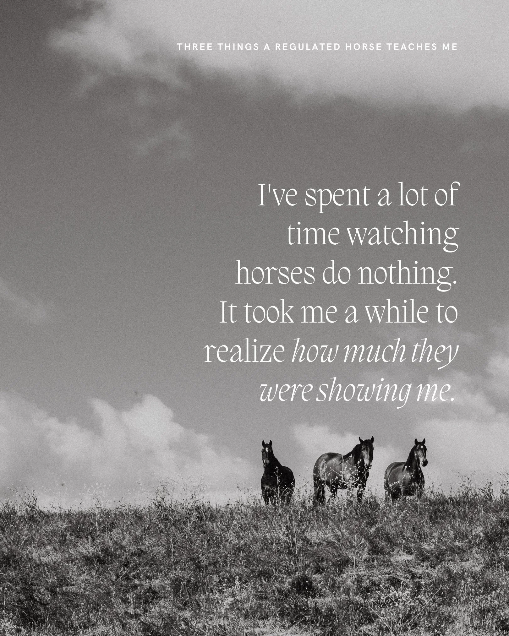 I have spent a lot of time watching horses do nothing.

Not nothing in the way we mean when we say someone is wasting time. Nothing in the way a body does when it is fully at ease. Grazing without urgency. Standing in the sun with one hip dropped. Ey