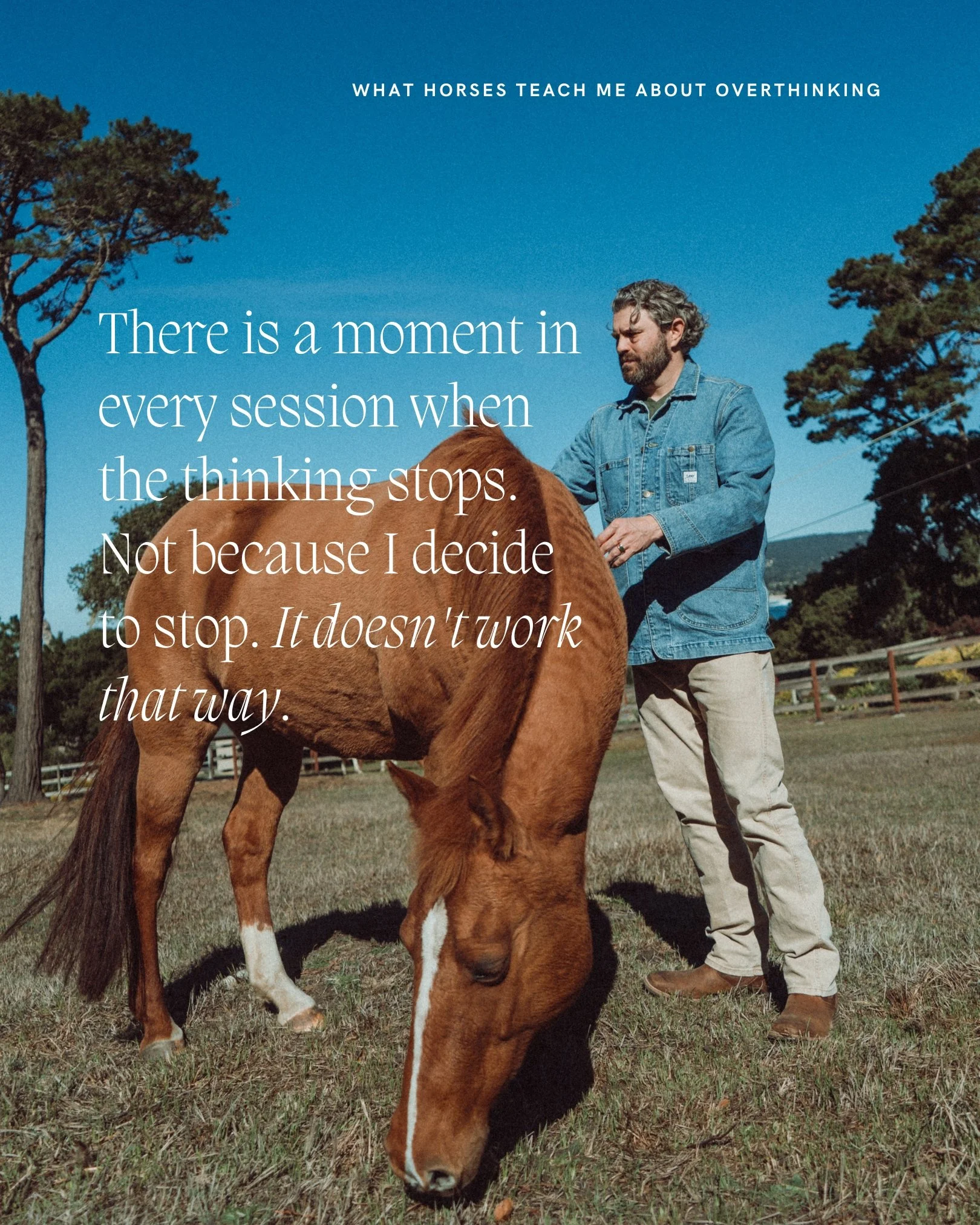 There is a moment in every session when the thinking stops.

Not because I decide to stop thinking. It doesn't work that way. But somewhere in the work the chatter running in the background of my mind begins to settle. The plan I had for the session.