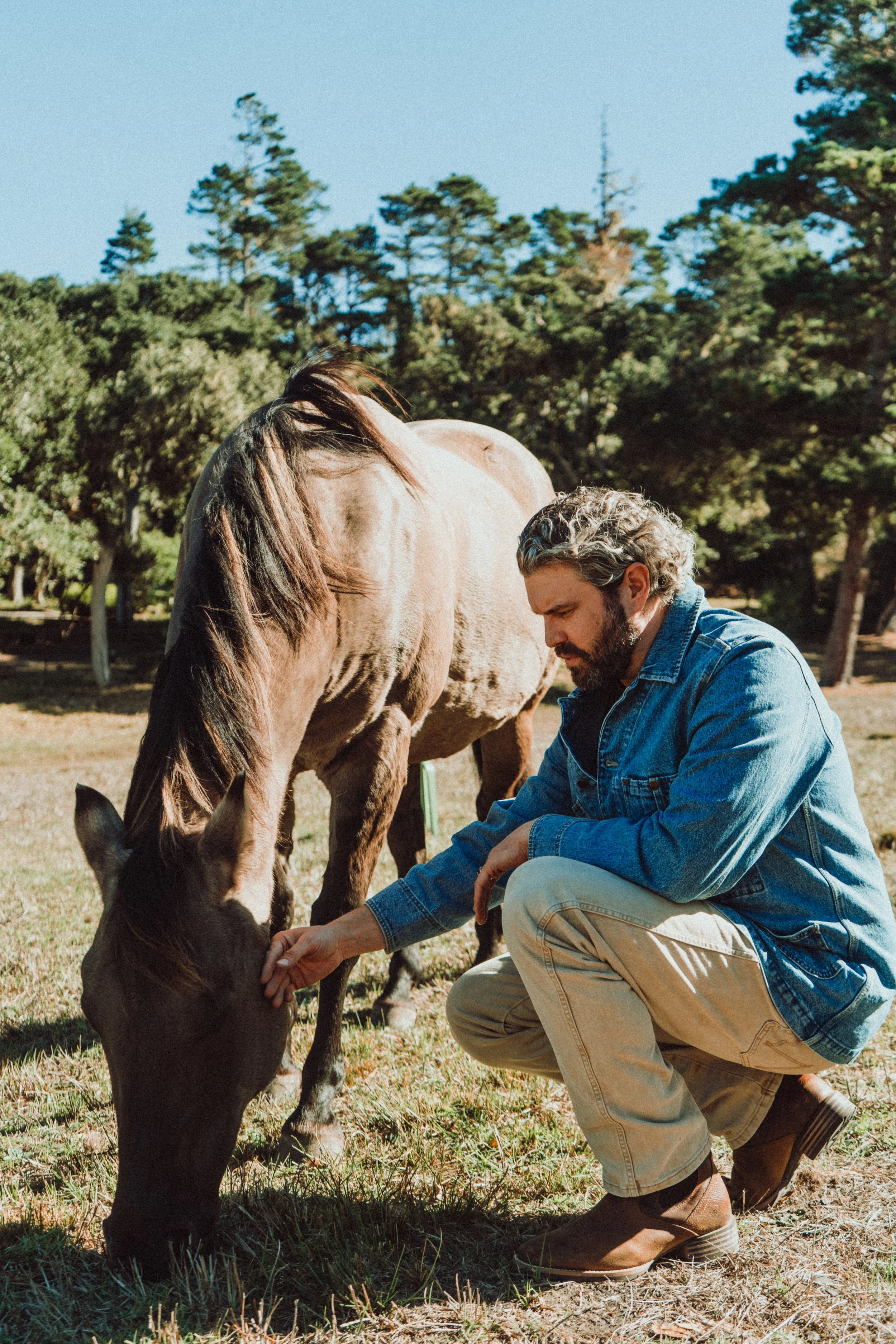 A man kneeling outdoors petting a young horse with a brown coat and a black mane, with a larger horse in the background and trees in the distance.