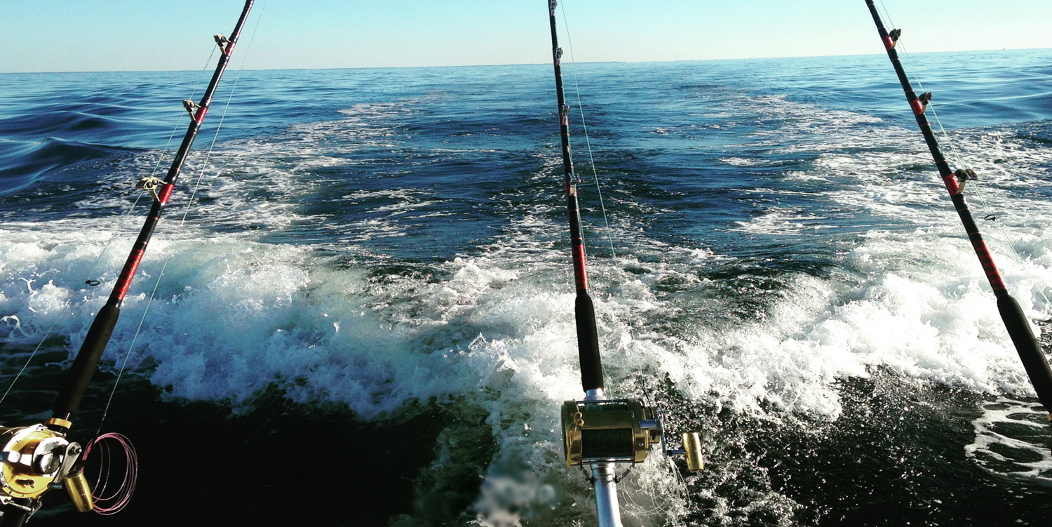 Chas'n Tails | Charter Fishing