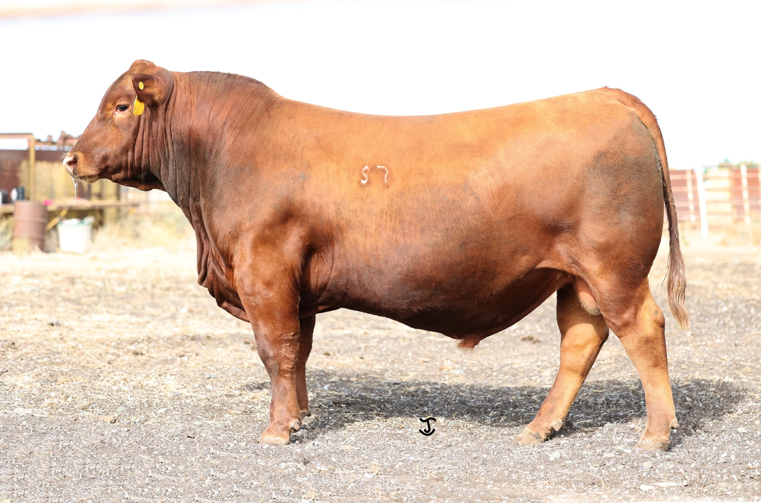 Lot 3 5018N