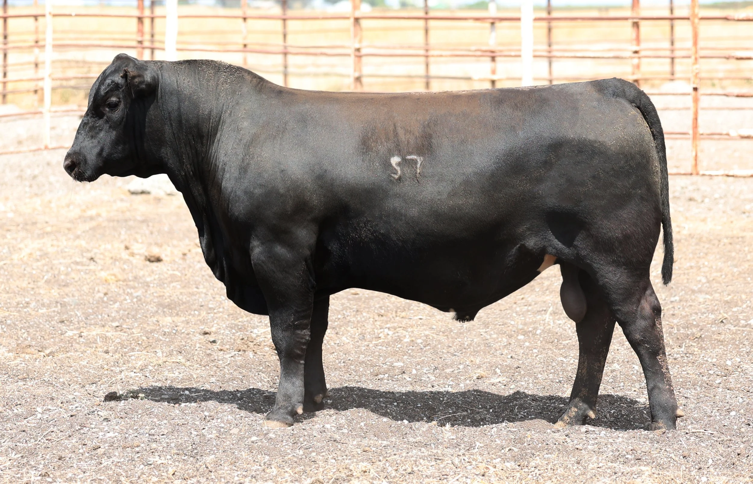 Lot 22 5032N