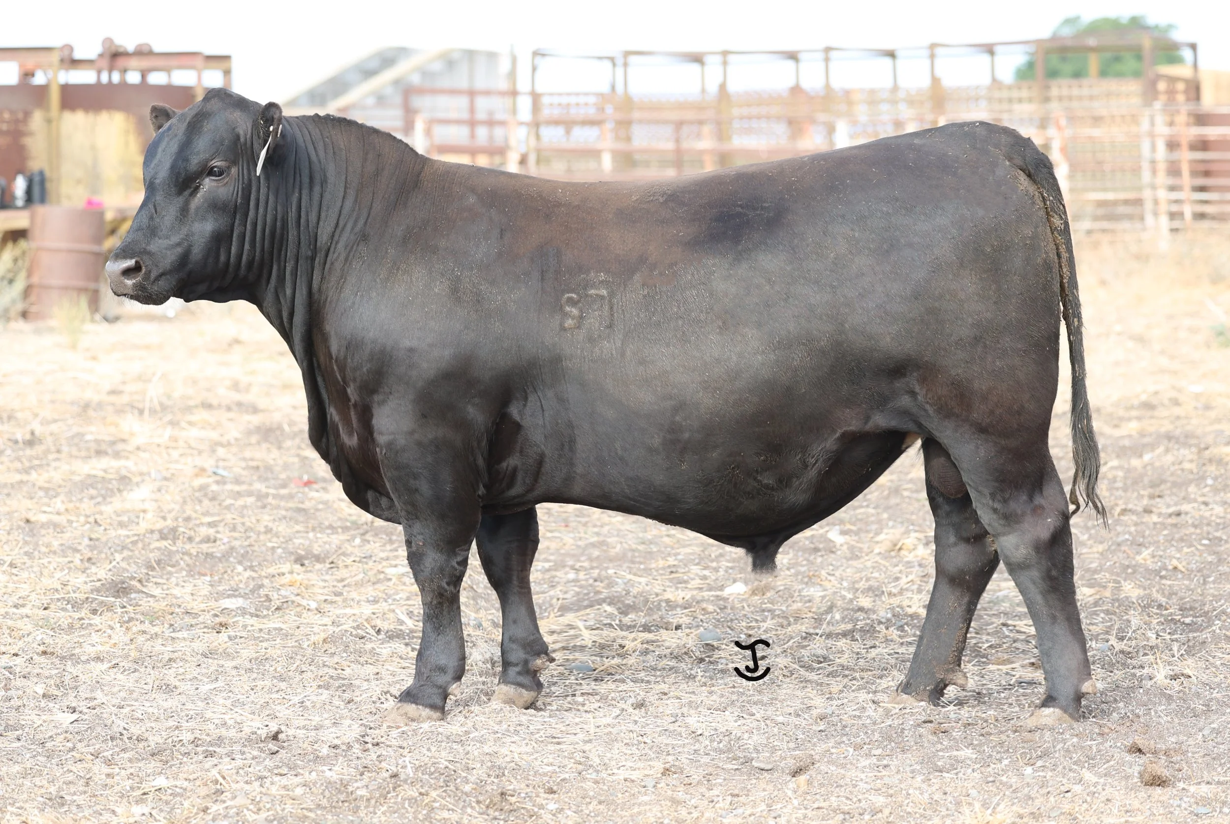 Lot 26 5024N